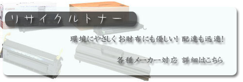 ���T�C�N���g�i�[